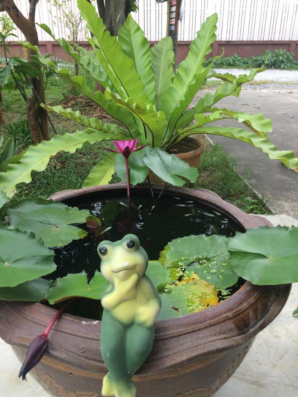 Lotus Place Sukhothai Eksteriør bilde